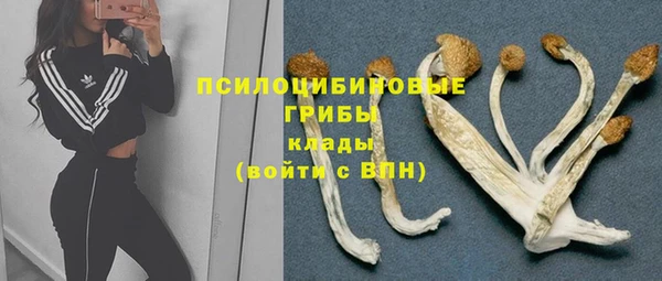каннабис Богородицк